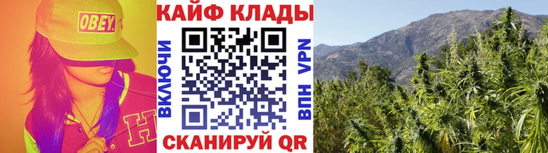 Продажа наркотиков Новоаннинский ГАШИШ  Alpha-PVP  МЕФ 