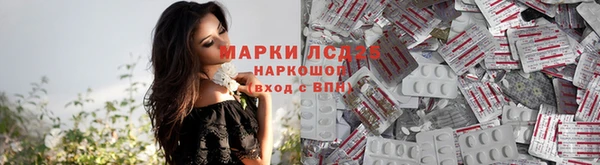 гидра Новокубанск