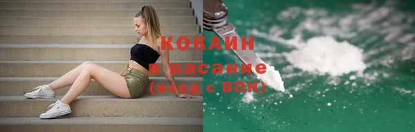 тгк Няндома
