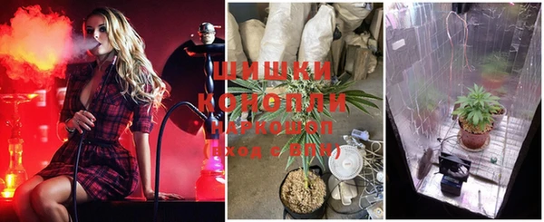 не бодяженный Новозыбков