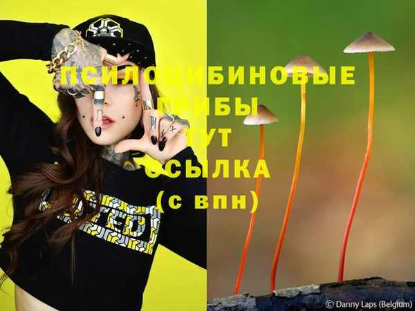 гидра Новокубанск