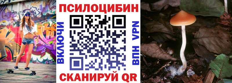 где купить   Новоаннинский  сайты даркнета какой сайт  Галлюциногенные грибы GOLDEN TEACHER 